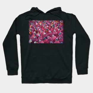 Peaceful Assembly Hoodie